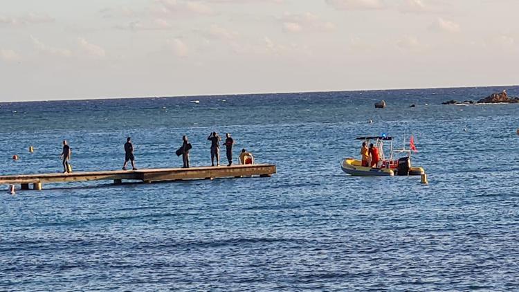 Prélèvements des requins : le tribunal administratif examine les arrêtés 