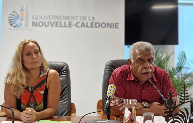 Des mesures d'urgence pour soutenir la filière nickel