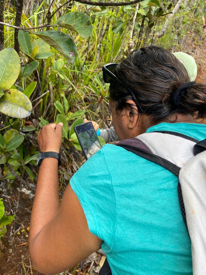 grand bioblitz 2.jpg