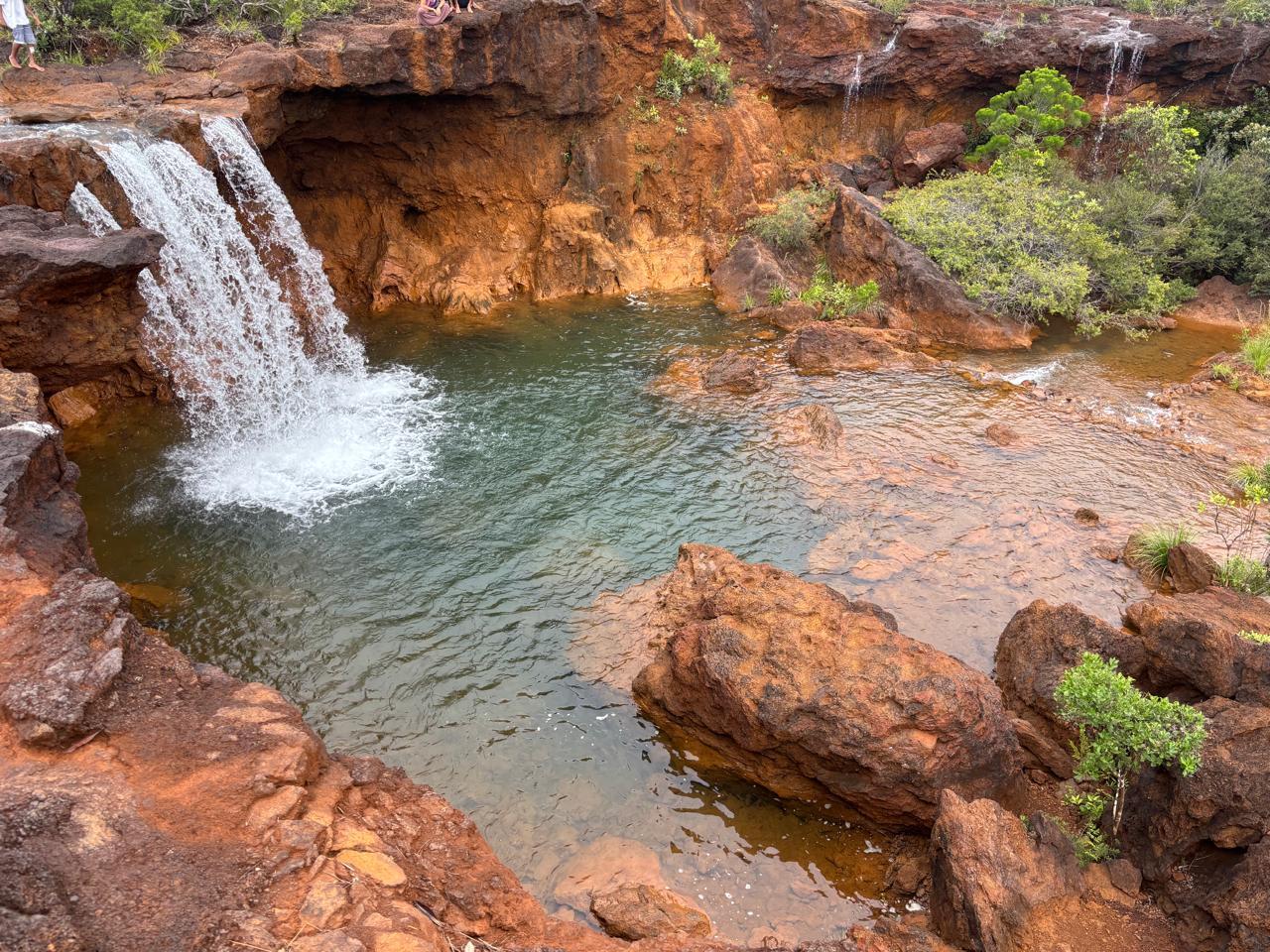 Zone humide sud 2.jpeg