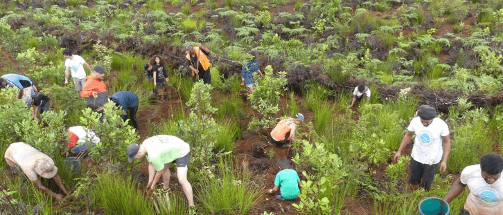 Conservation Internationale ONG