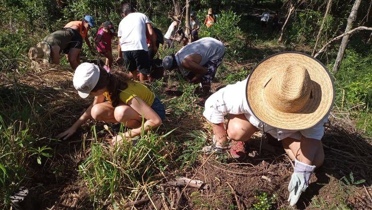 Près de 2.000 arbres plantés au Parc Zoologique et Forestier de la Province Sud