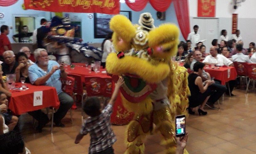 C'est l'année du cochon de Terre!