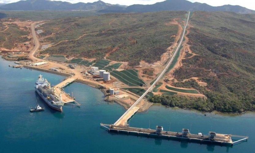 Dauphins échoués. Vale NC se défend