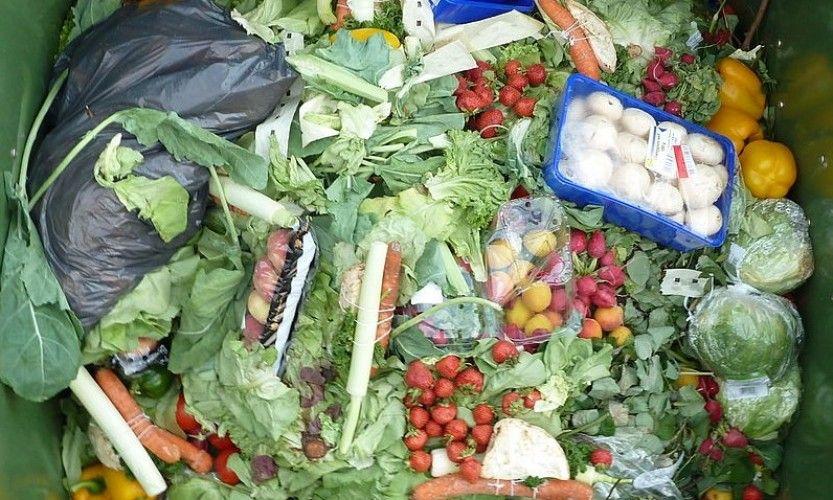 Les cantines contre le gaspillage