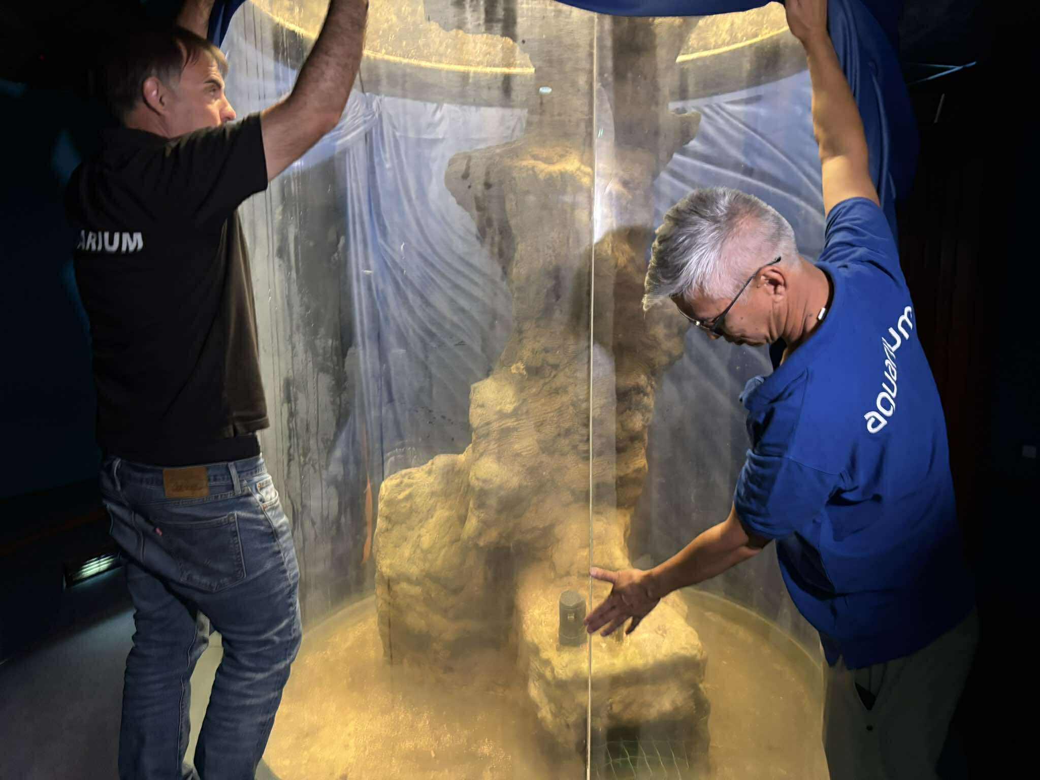 aquarium bassin inondation.jpg